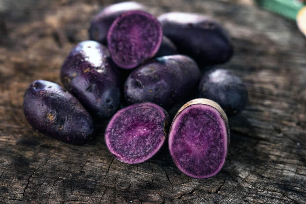 Why are purple potatoes purple?