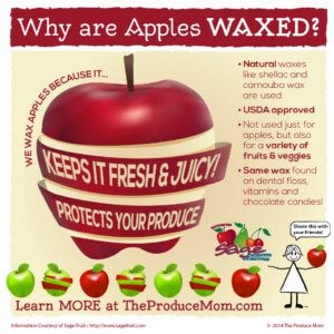 apple wax infographic-01 (4)
