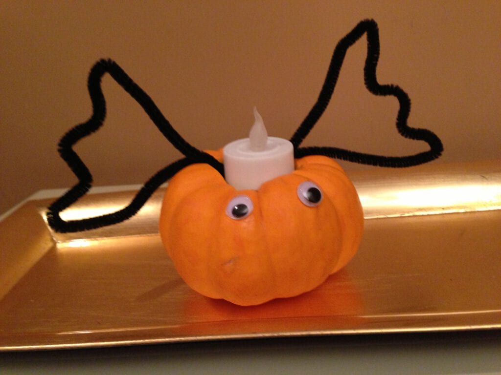 Mini Pumpkin Crafts