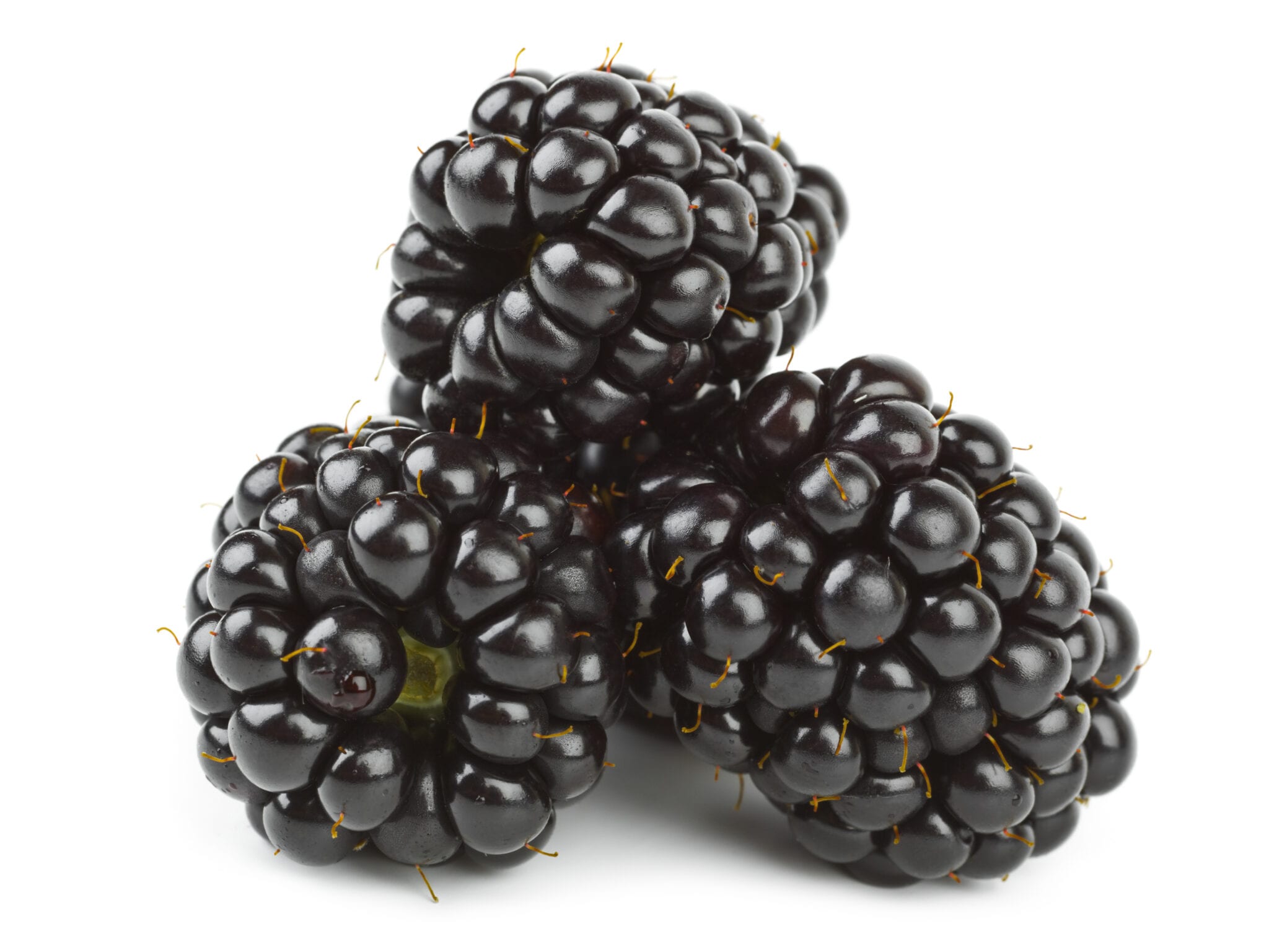 How to Select, Store & Serve Blackberries Recipes