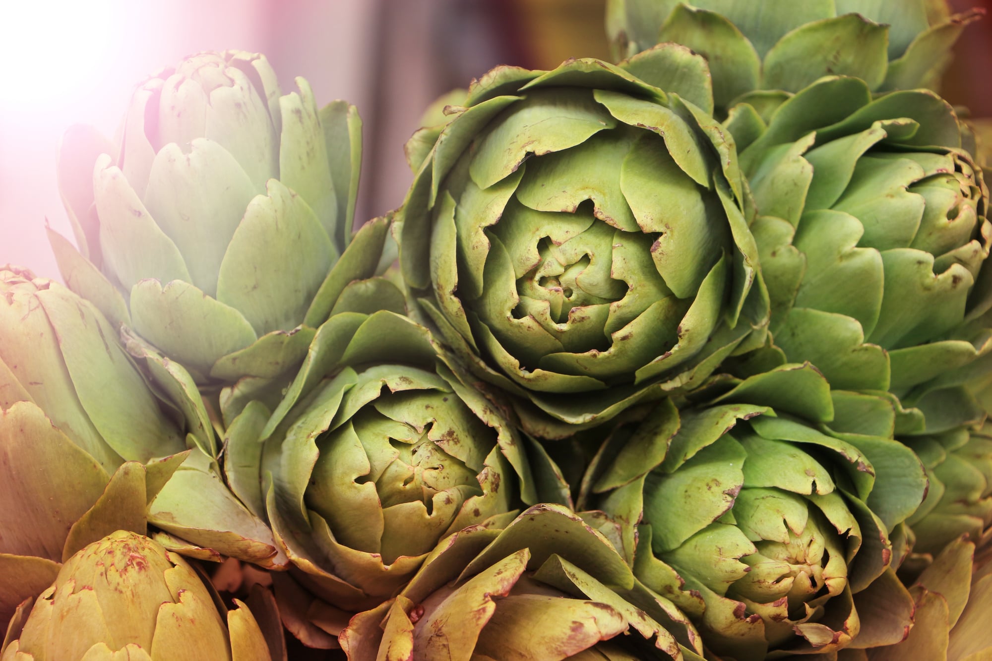 Stuffed Artichokes
