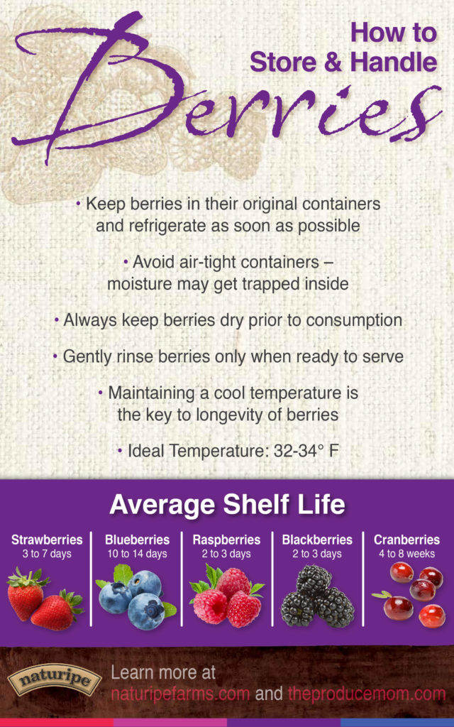 Shelf life of berries | How to store and handle berries to maximize shelf life 