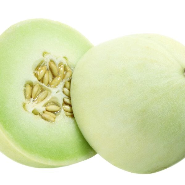 Honeydew