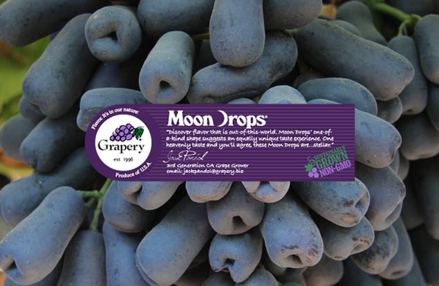 Moon Drops from Grapery