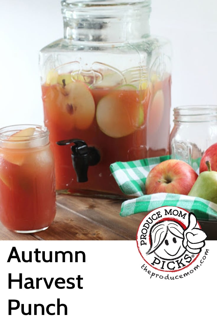 Autumn Harvest Punch from Served Up with Love