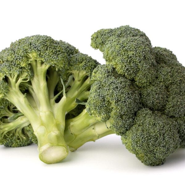 Broccoli