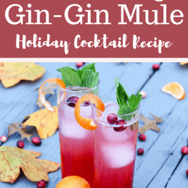 cropped-cran-orange-gin-gin-mule-holiday-cocktail-recipe-1.png