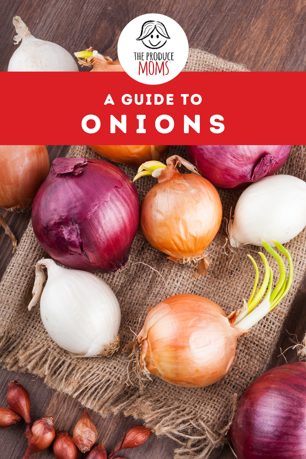 Pinterest Pin: Guide to Onions