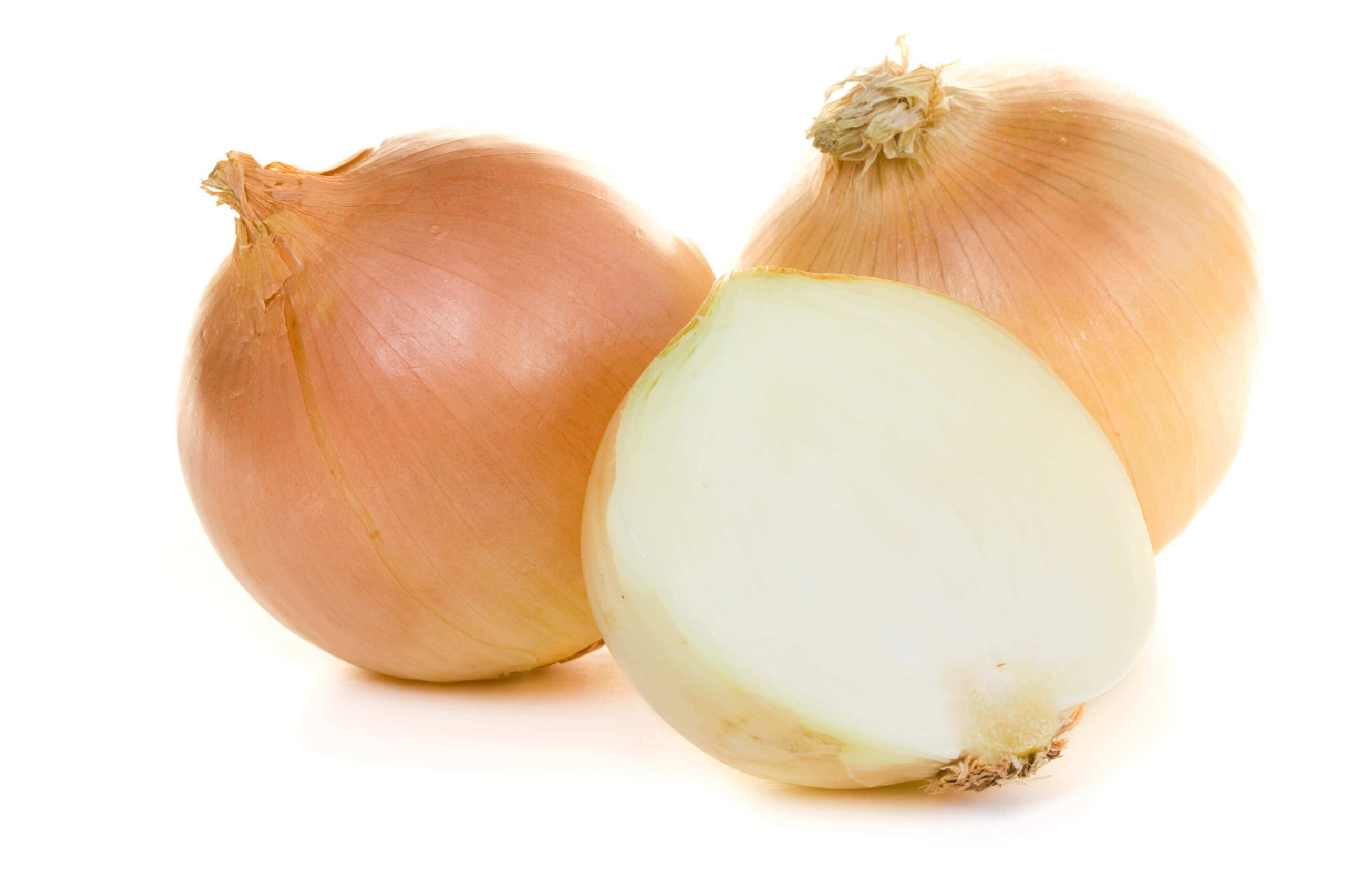 Yellow Onions Photo