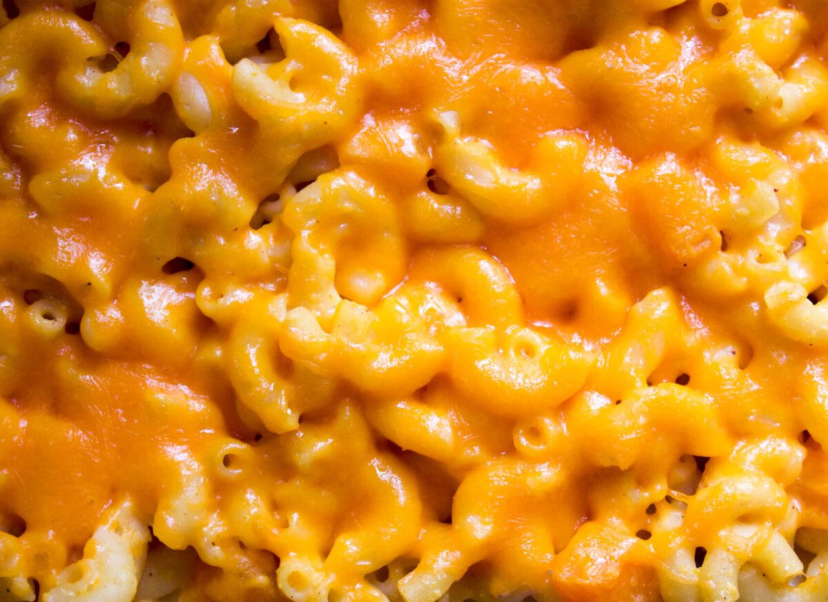 Closeup photo of Butternut Squash Mac and Cheese