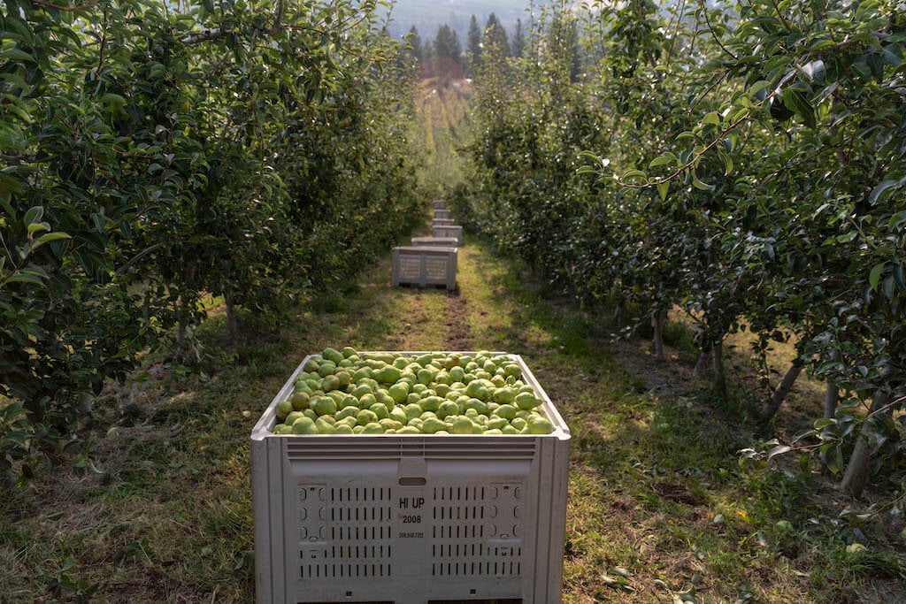 USA Pears growing region