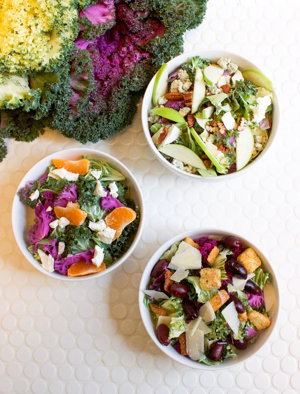 Colorful Salads 