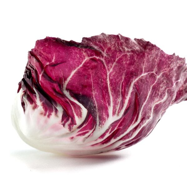 Radicchio