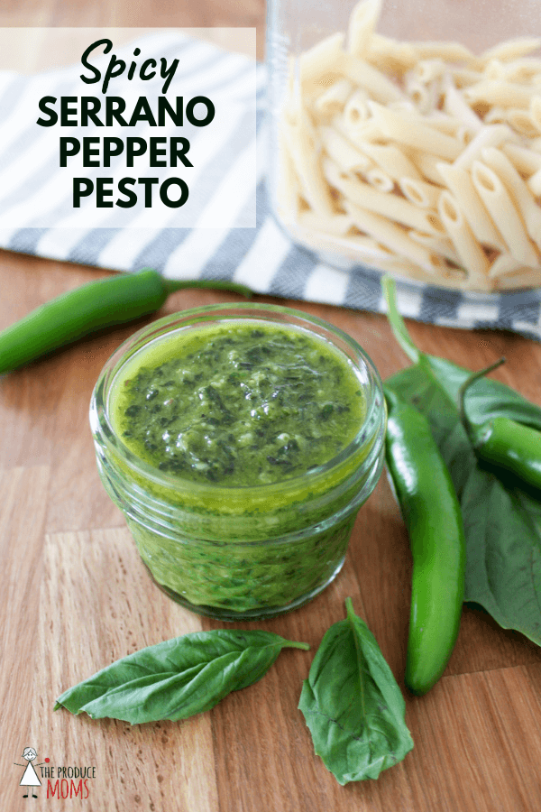 Homemade Serrano Pepper Pesto 