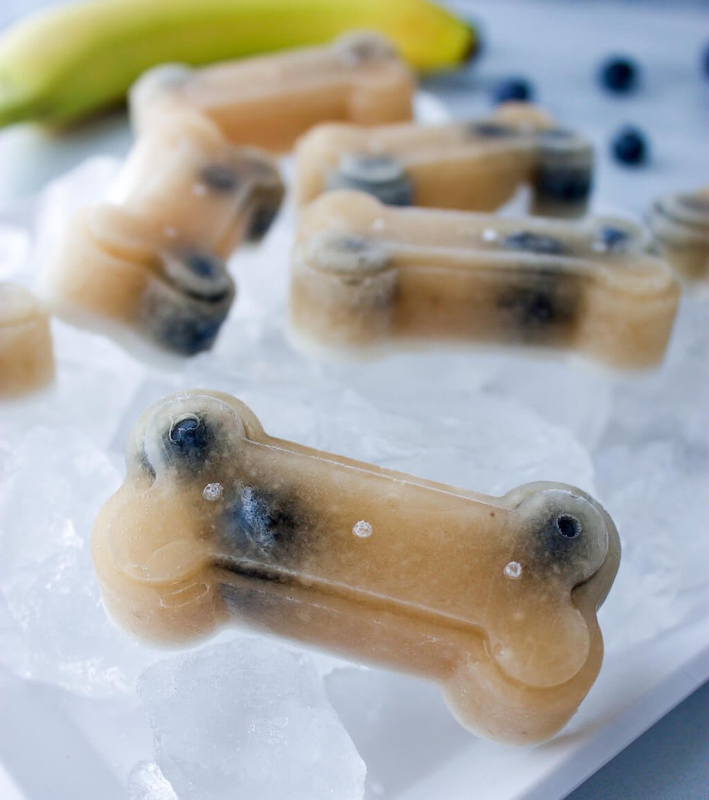 Banana and Blueberry Pupsicles