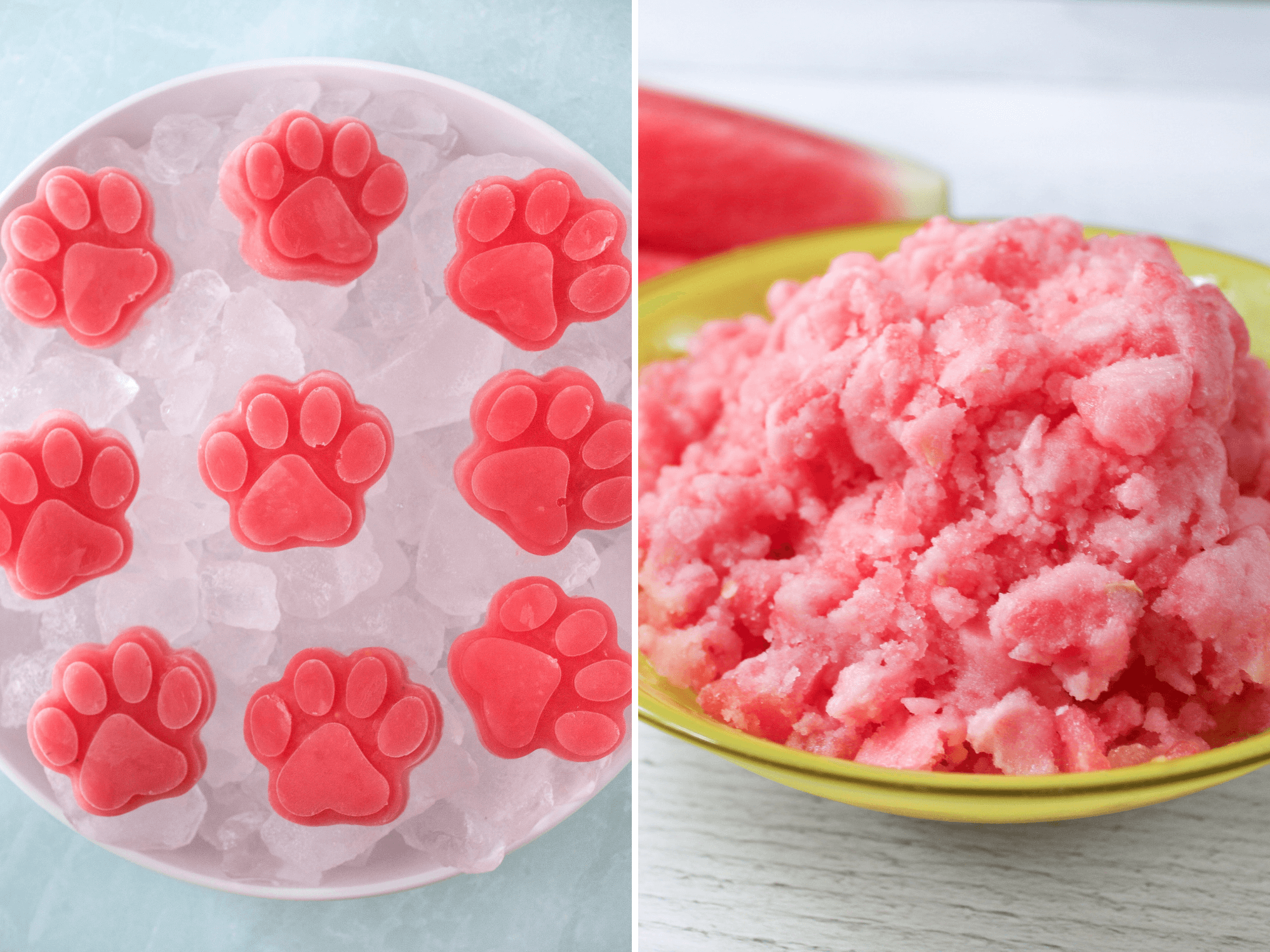 Watermelon Dog Treats