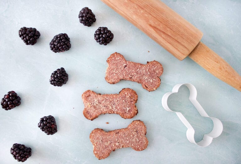 GlutenFree Blackberry & Almond Flour Dog Treats The Produce Moms
