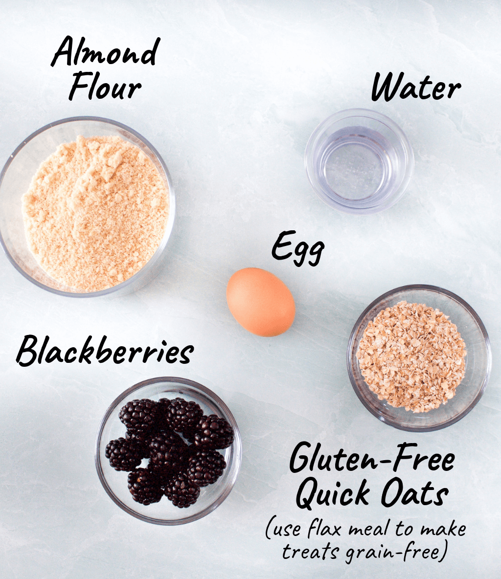Gluten-Free Blackberry & Almond Flour Dog Treats (with a grain-free option)