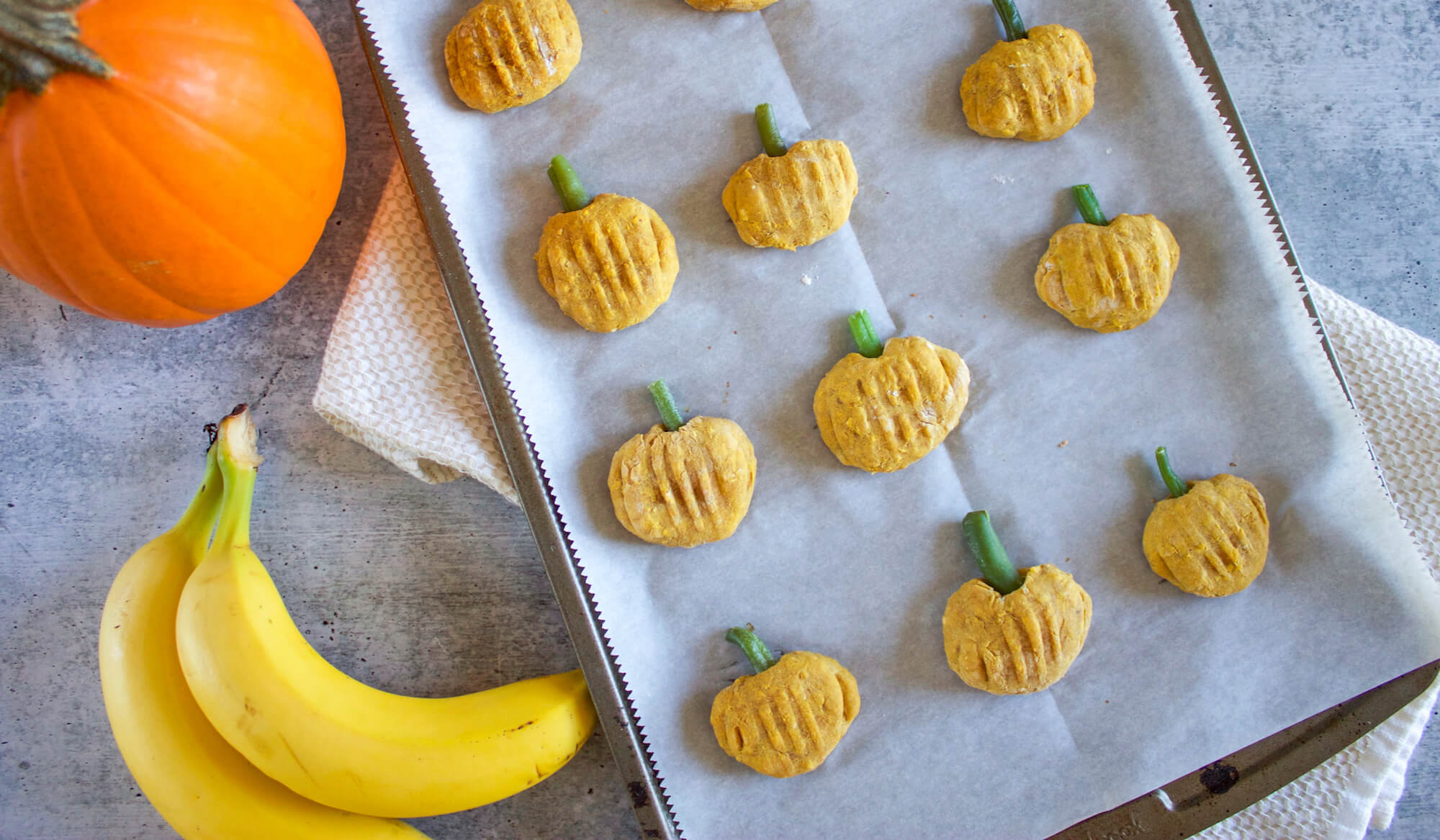 pumpkin dog treats frozen