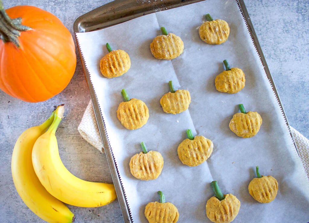 pumpkin dog treats frozen