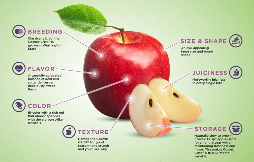 Cosmic Crisp Apples Information and Facts