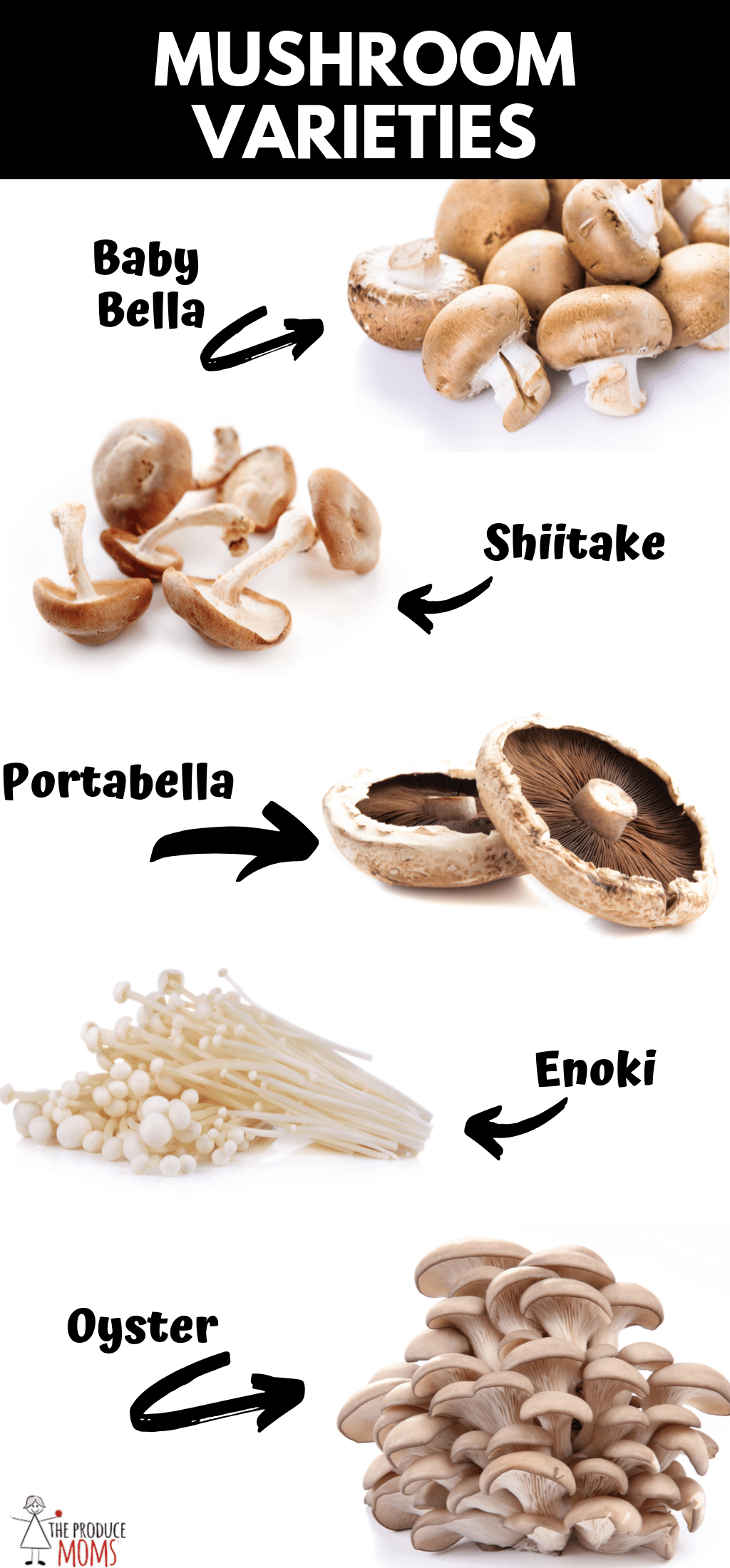 Know Your Mushroom Varieties | Types of Mushrooms