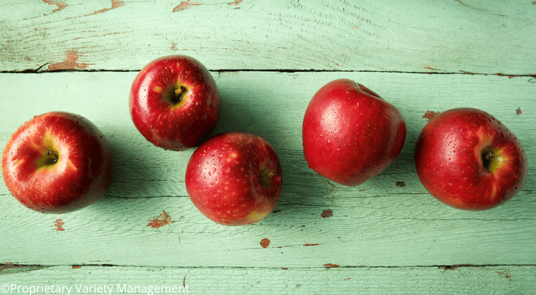 What Cosmic slices reveal - Good Fruit Grower