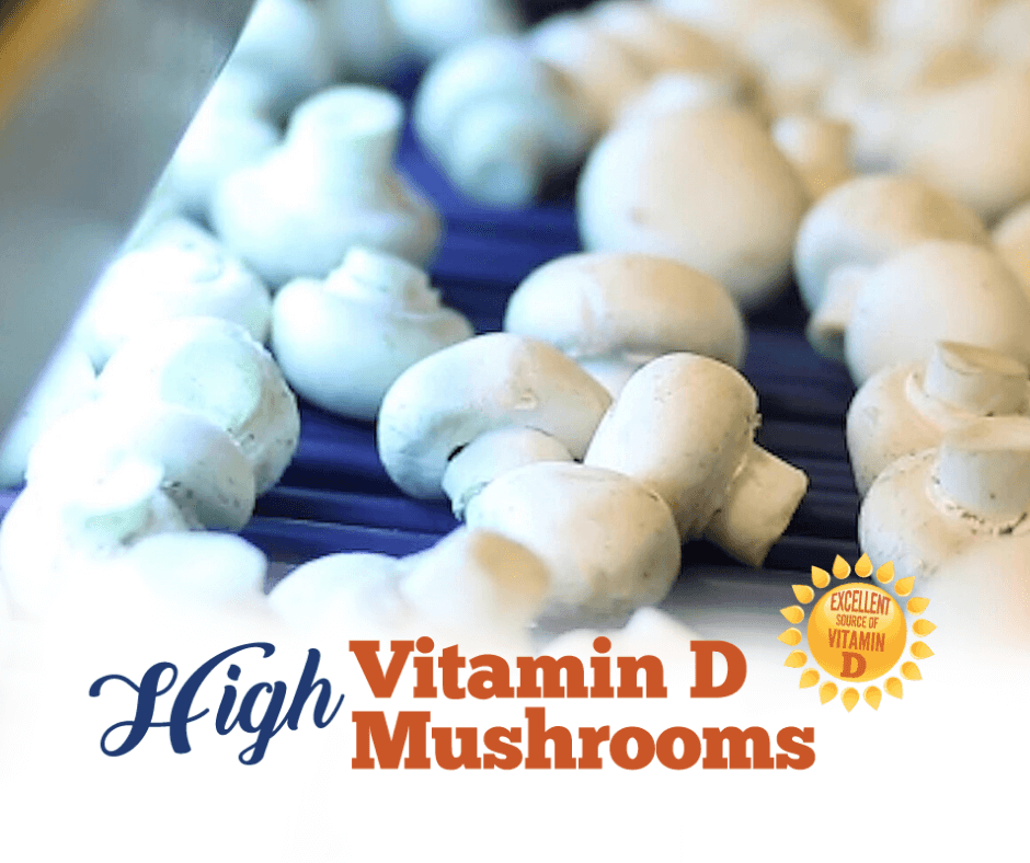 High vitamin D mushrooms