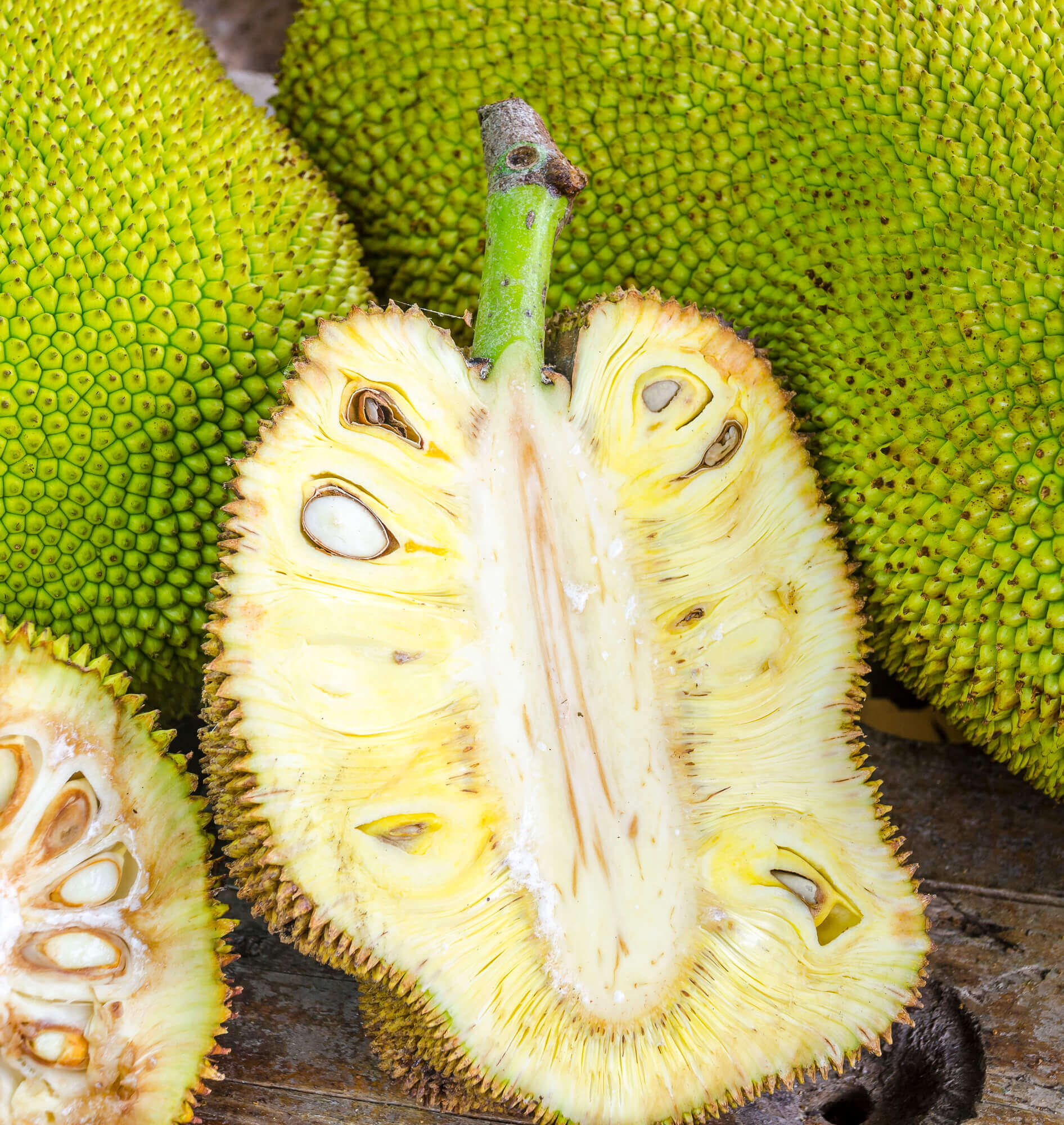 Jackfruit