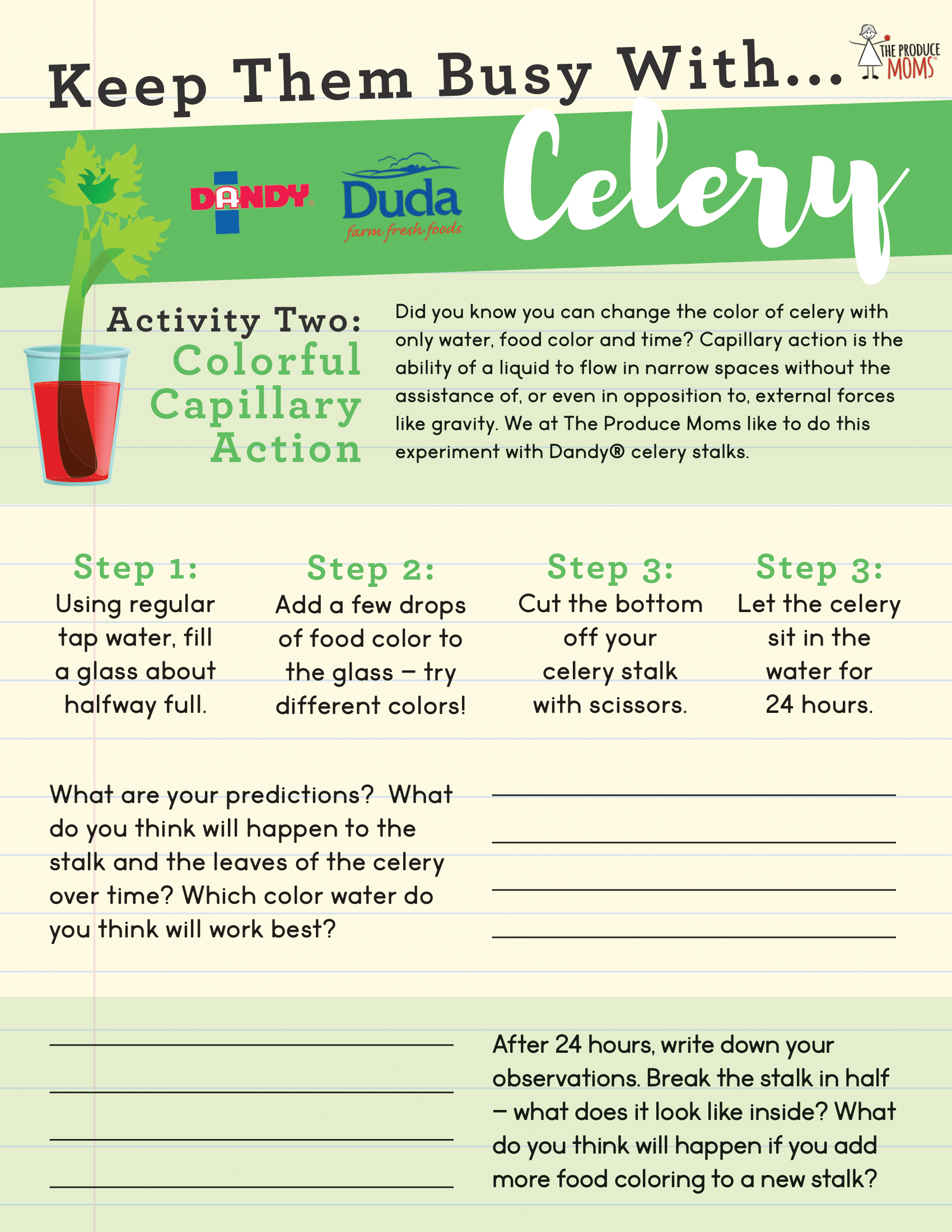 Celery Educational Activity Sheets