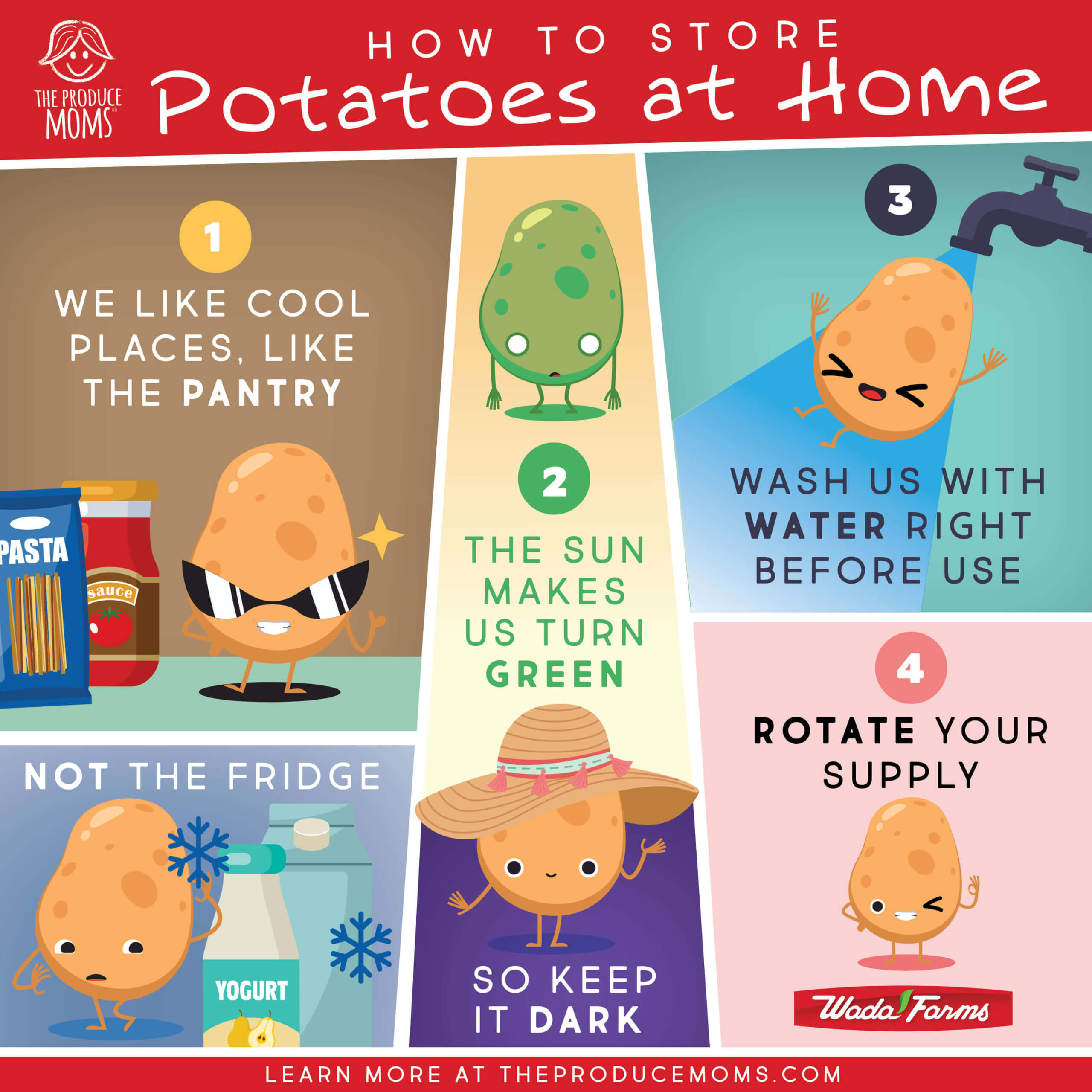 Cómo guardar las patatas