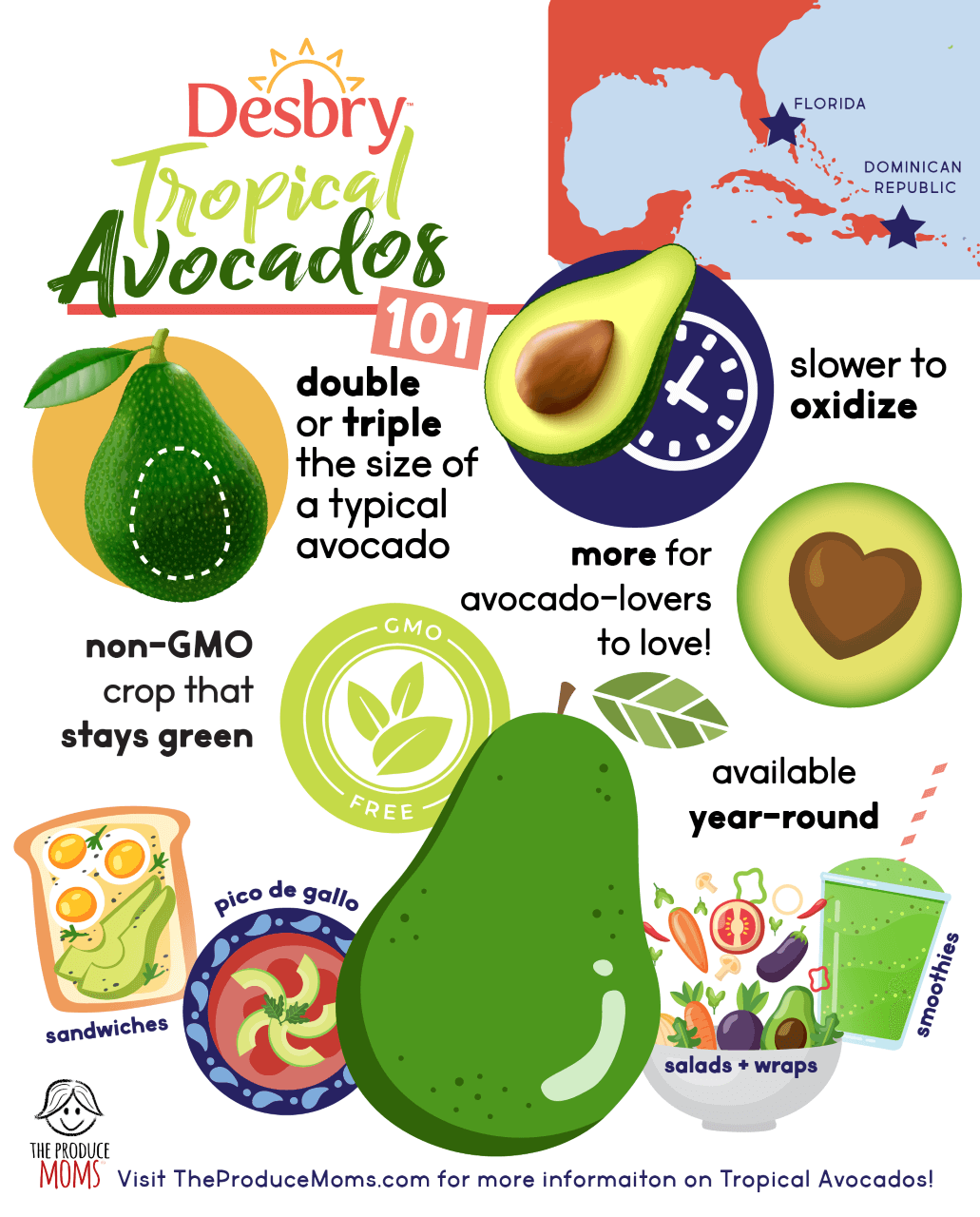 Tropical Avocados infographic 