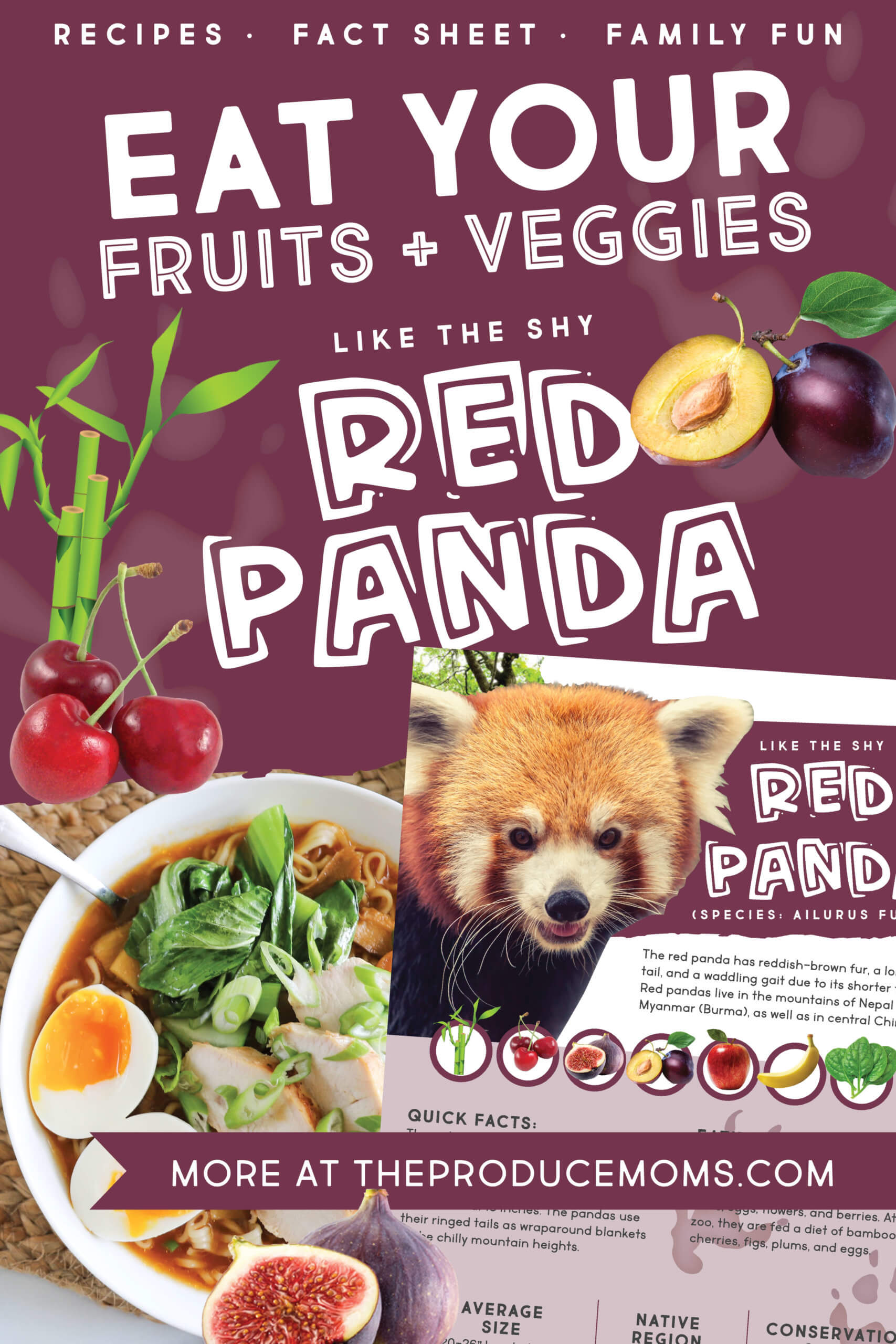 Eat like a red panda