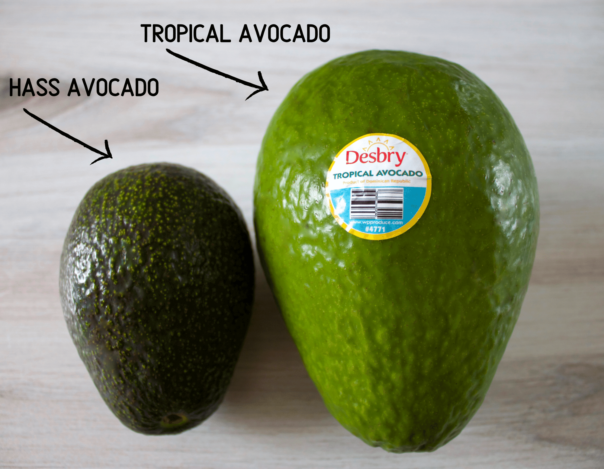 Haas vs tropical avocado.