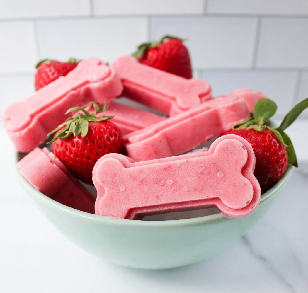 Strawberry Puppy Treats | Homemade Frozen Dog Treats