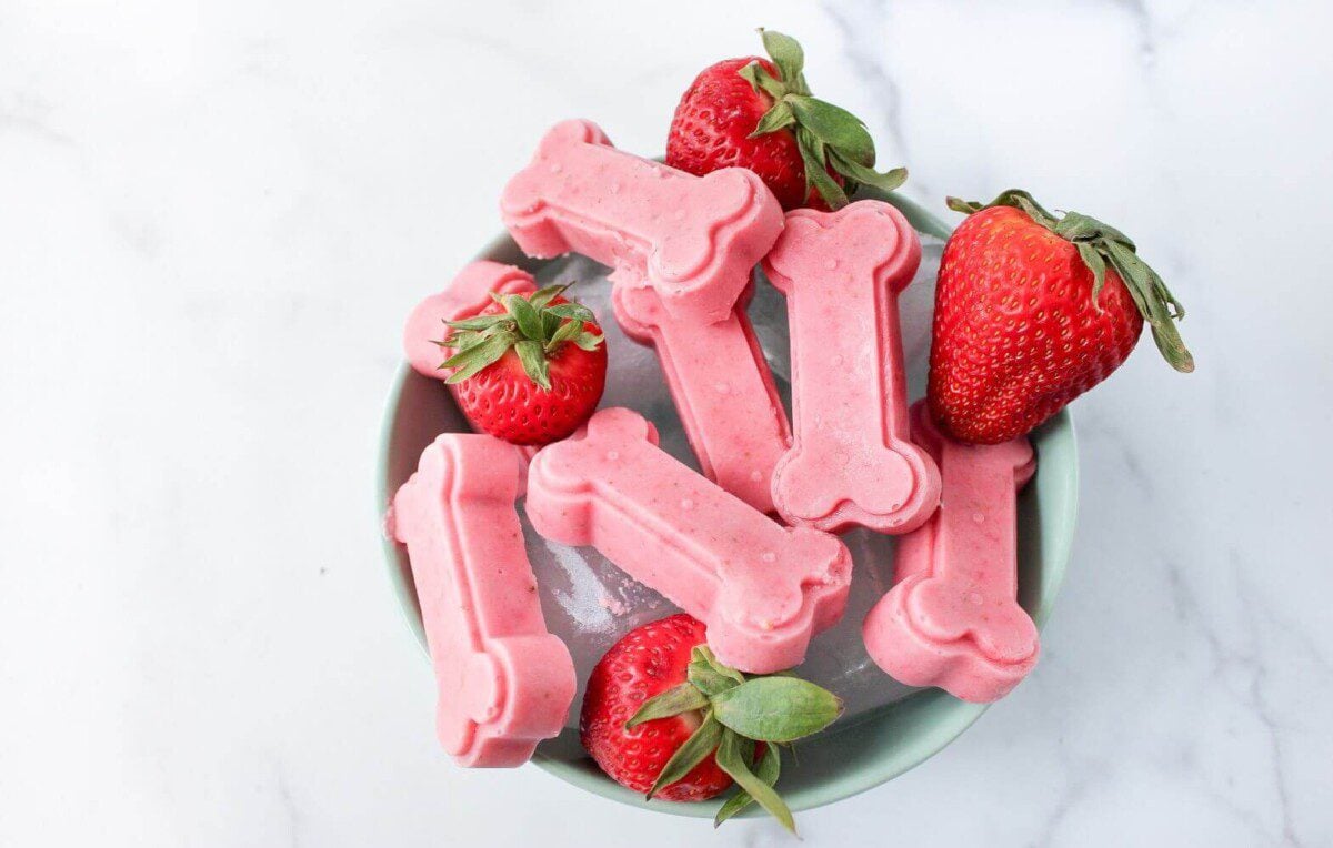 Peanut Butter & Strawberry Dog Popsicles