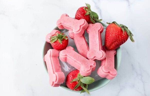 strawberry puppy treats 5 Strawberry Puppy Treats