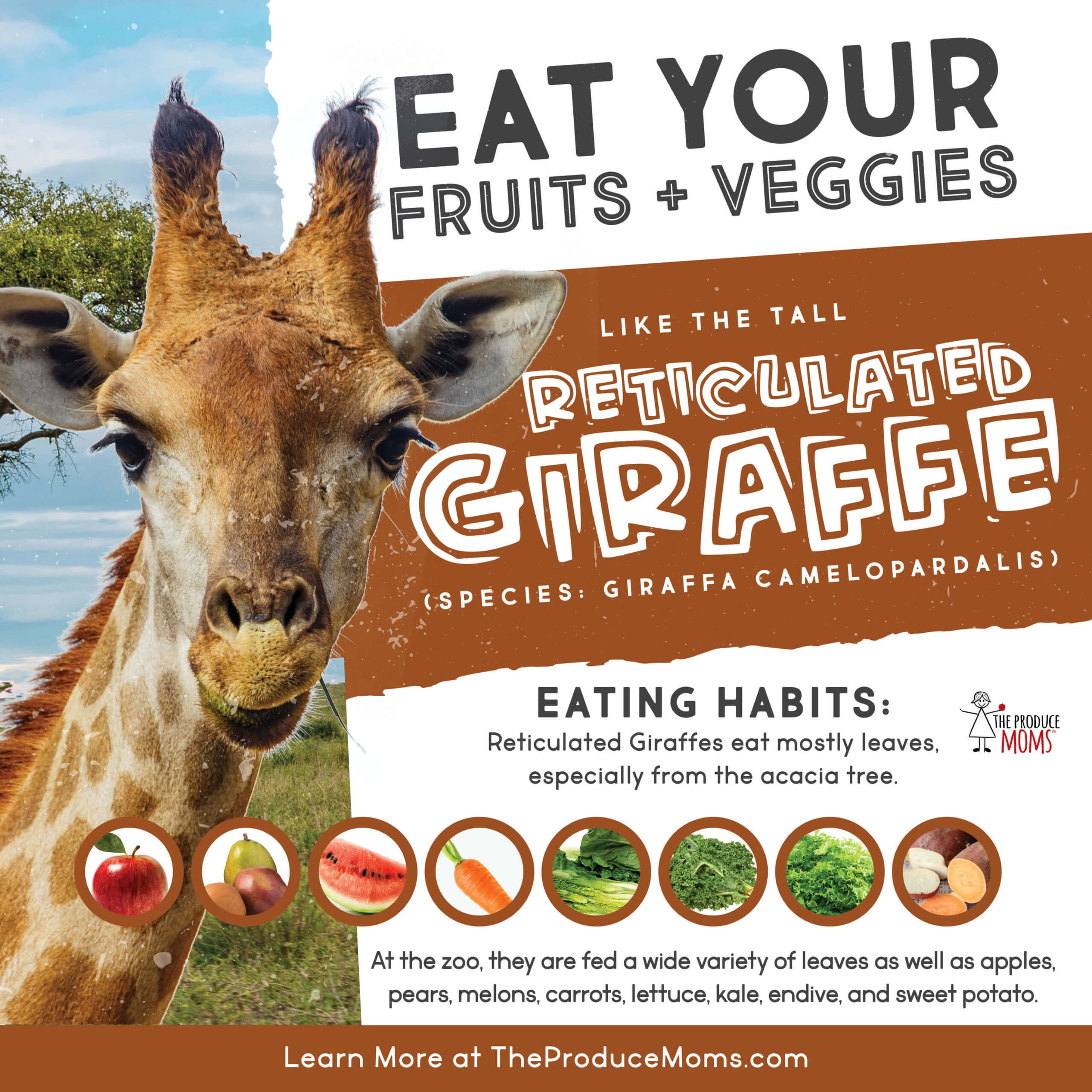 Eat Your Fruits and Veggies Like A Giraffe