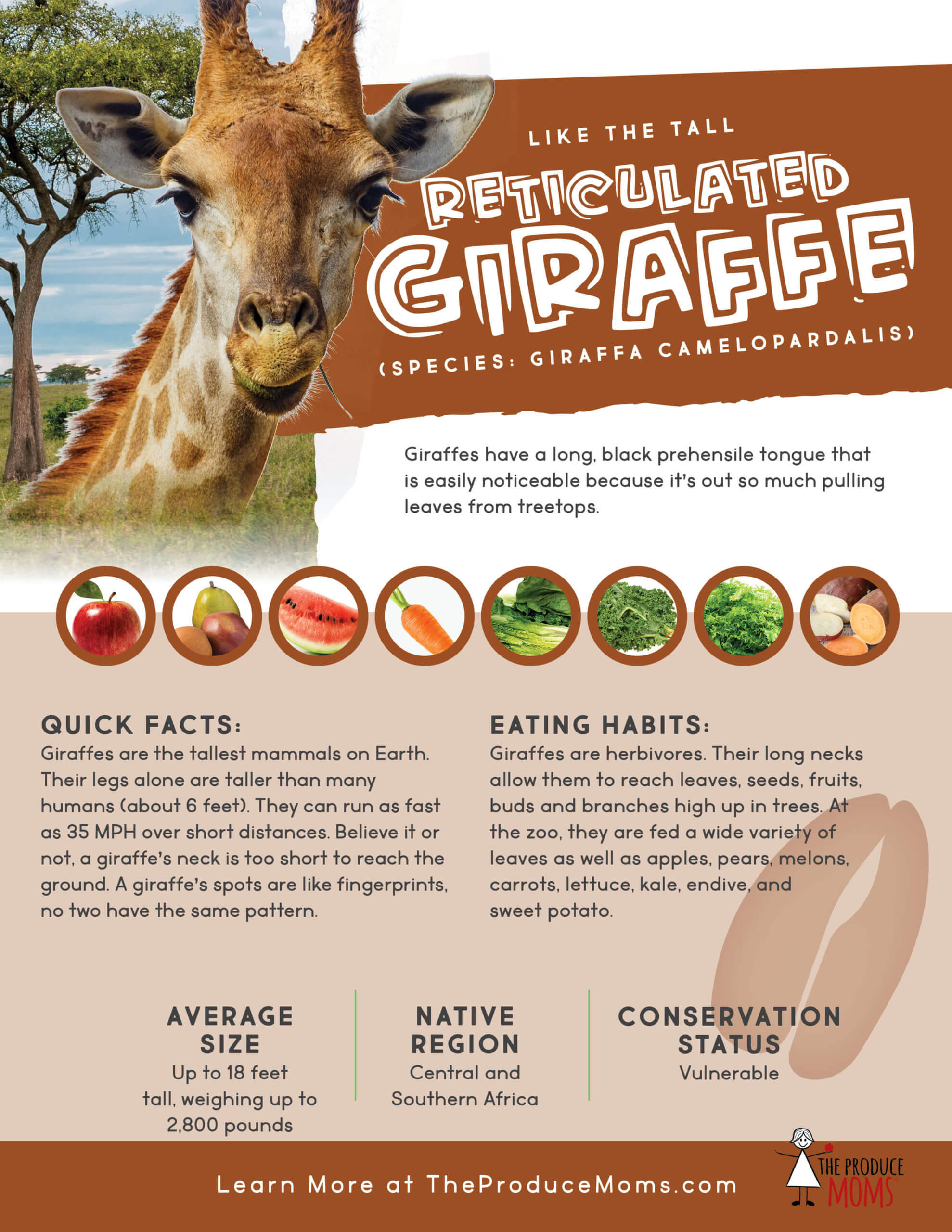 Eat Your Fruits and Veggies Like A Giraffe