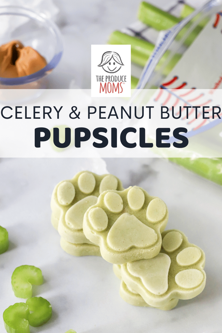 Celery and Peanut Butter Pupsicles 