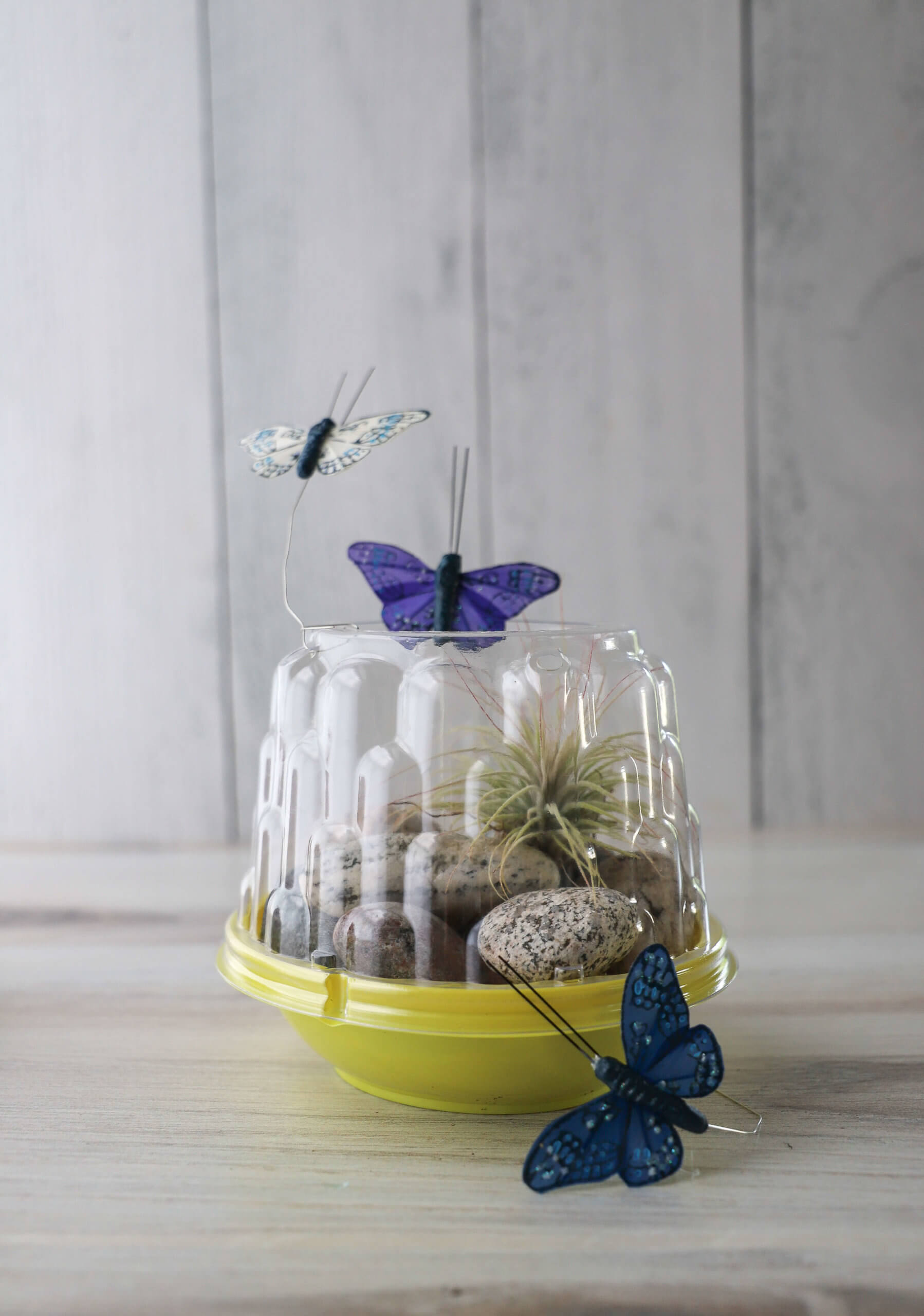 Summer Craft Ideas: Mini Terrarium