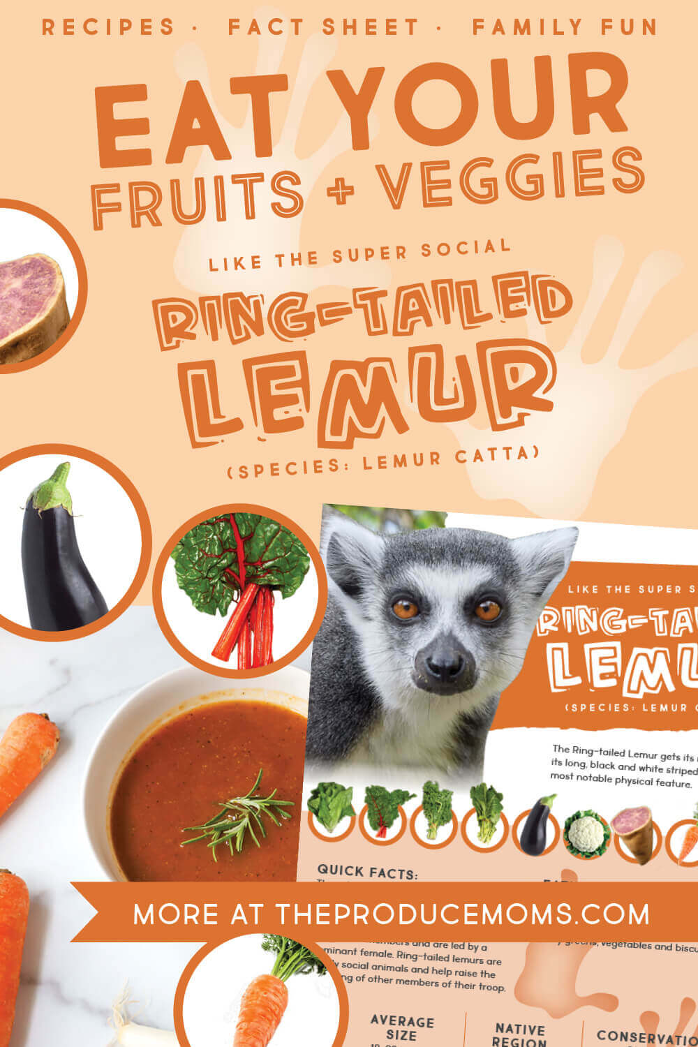 Eat Like a Ring-Tailed Lemur Pinterest Card