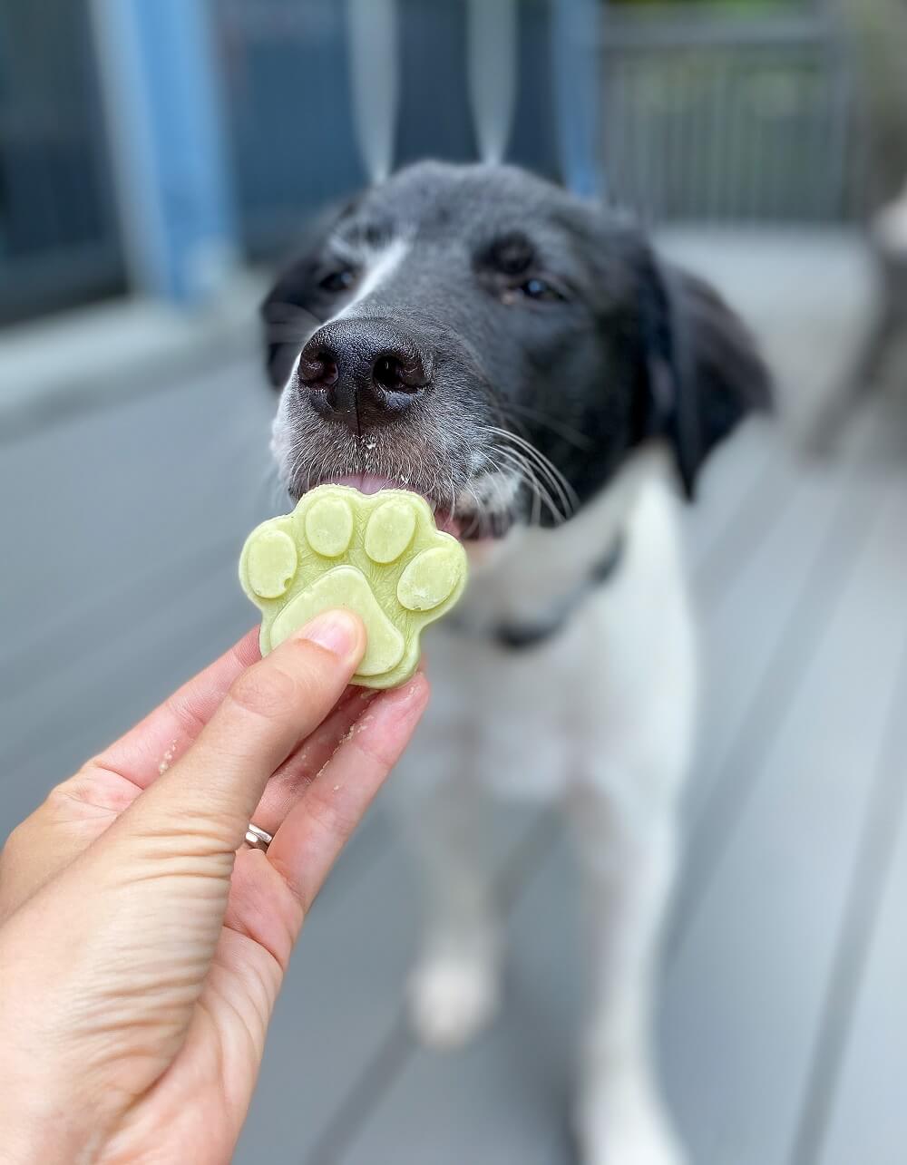 Our pups loved these celery dog treats