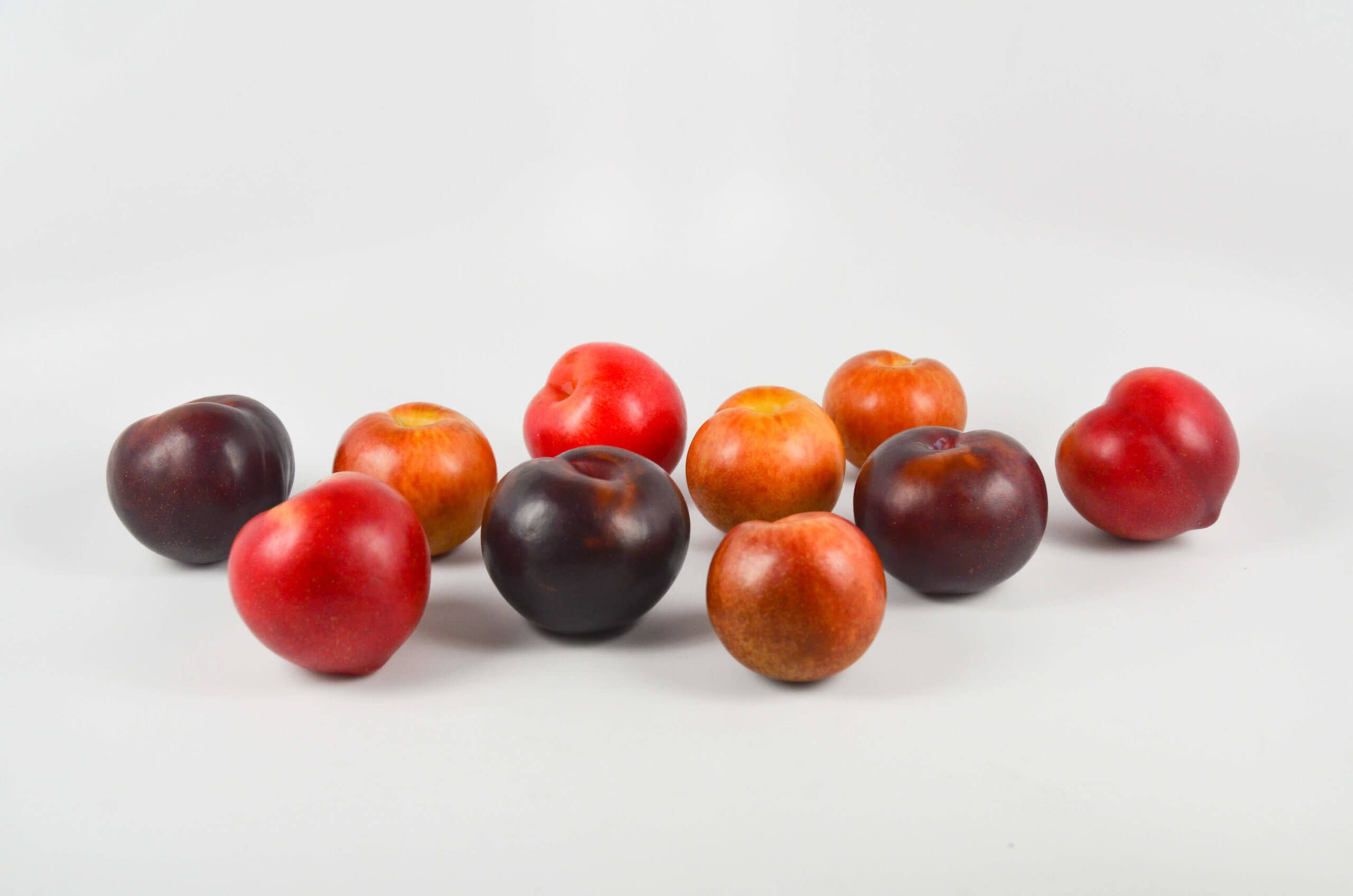 Plum Varieties 