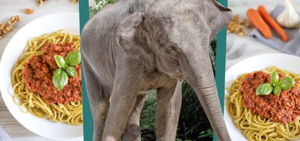 preview-gallery-TPM_Elephant Banner 2020 Eat Like An Asian Elephant Banner