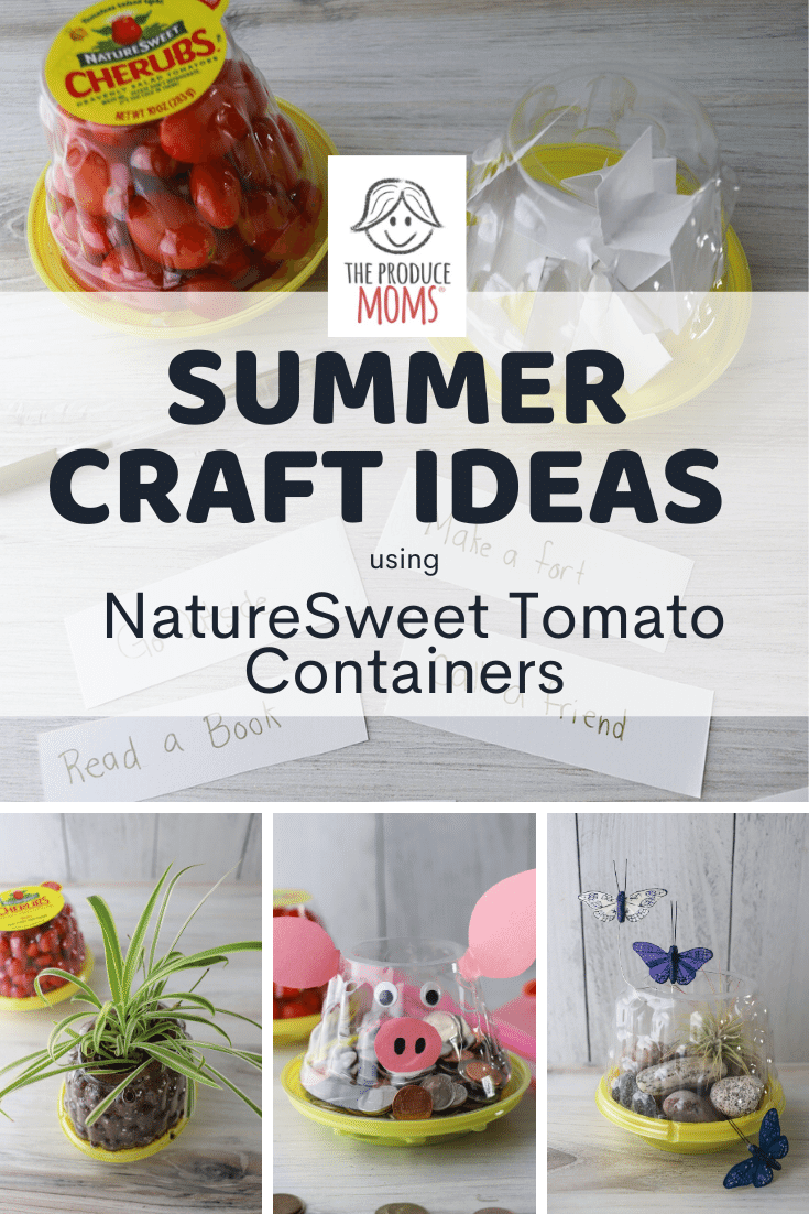 Summer Craft Ideas Using NatureSweet Tomato Containers