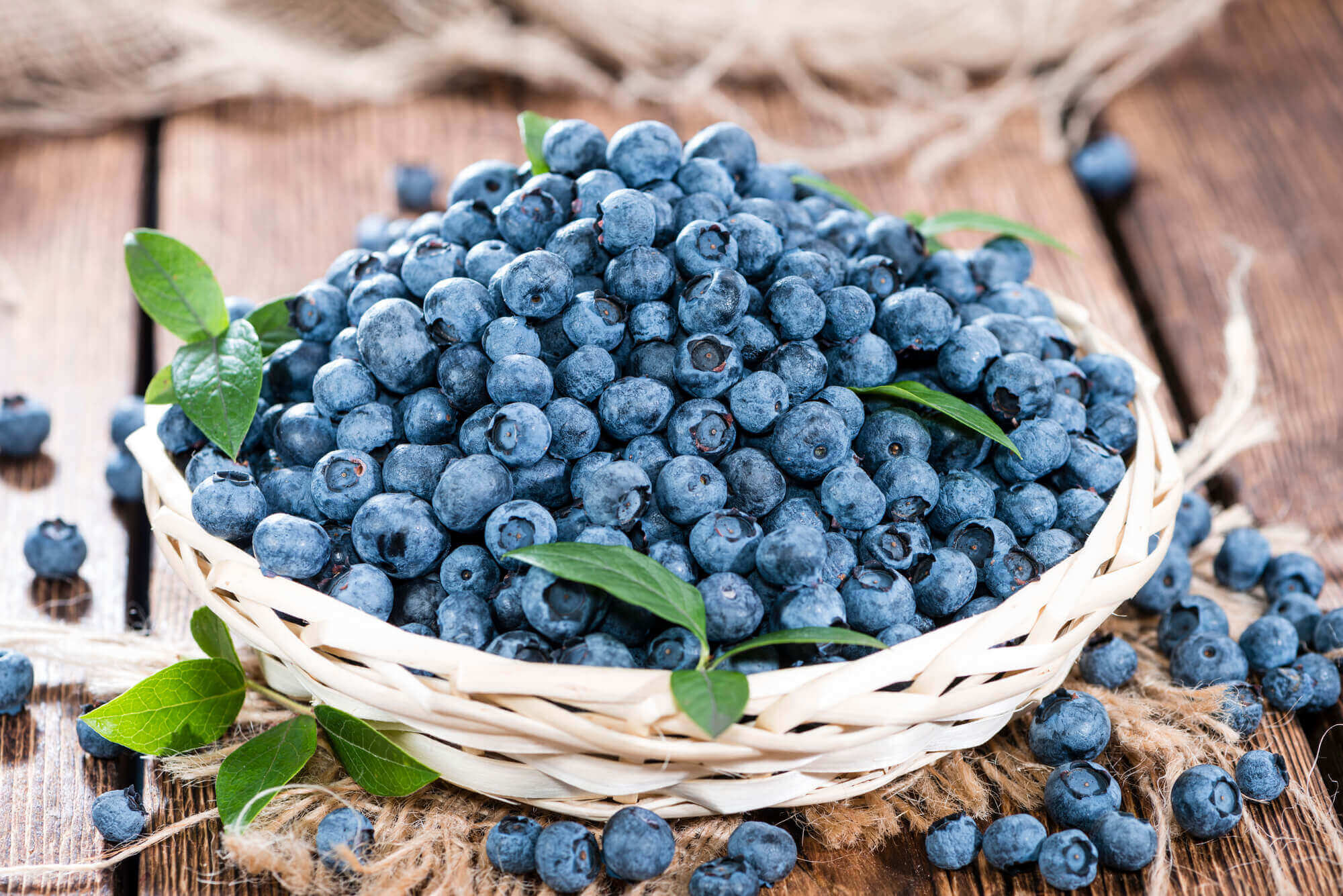 Blueberries as school snacks
