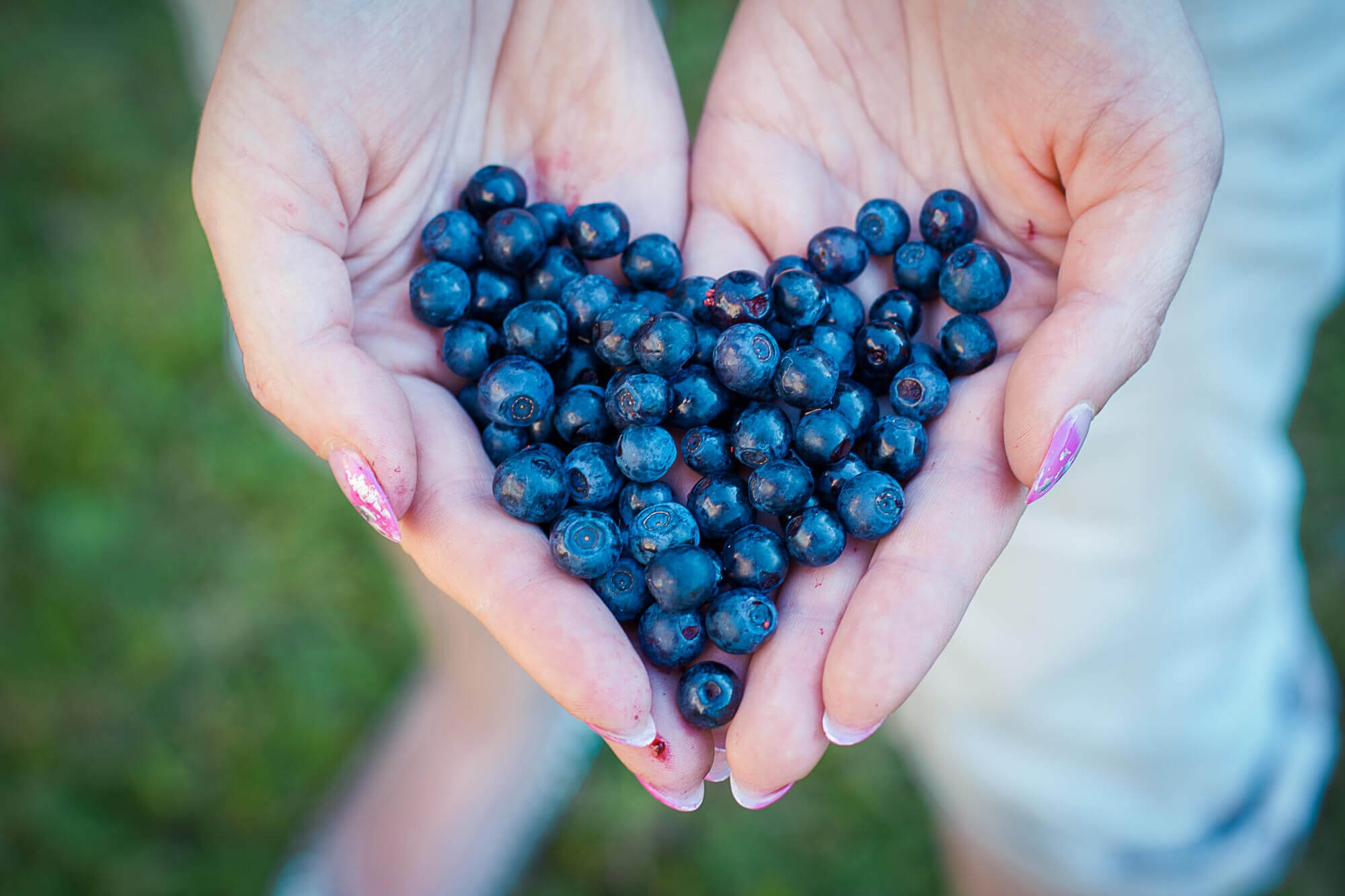 Blueberries