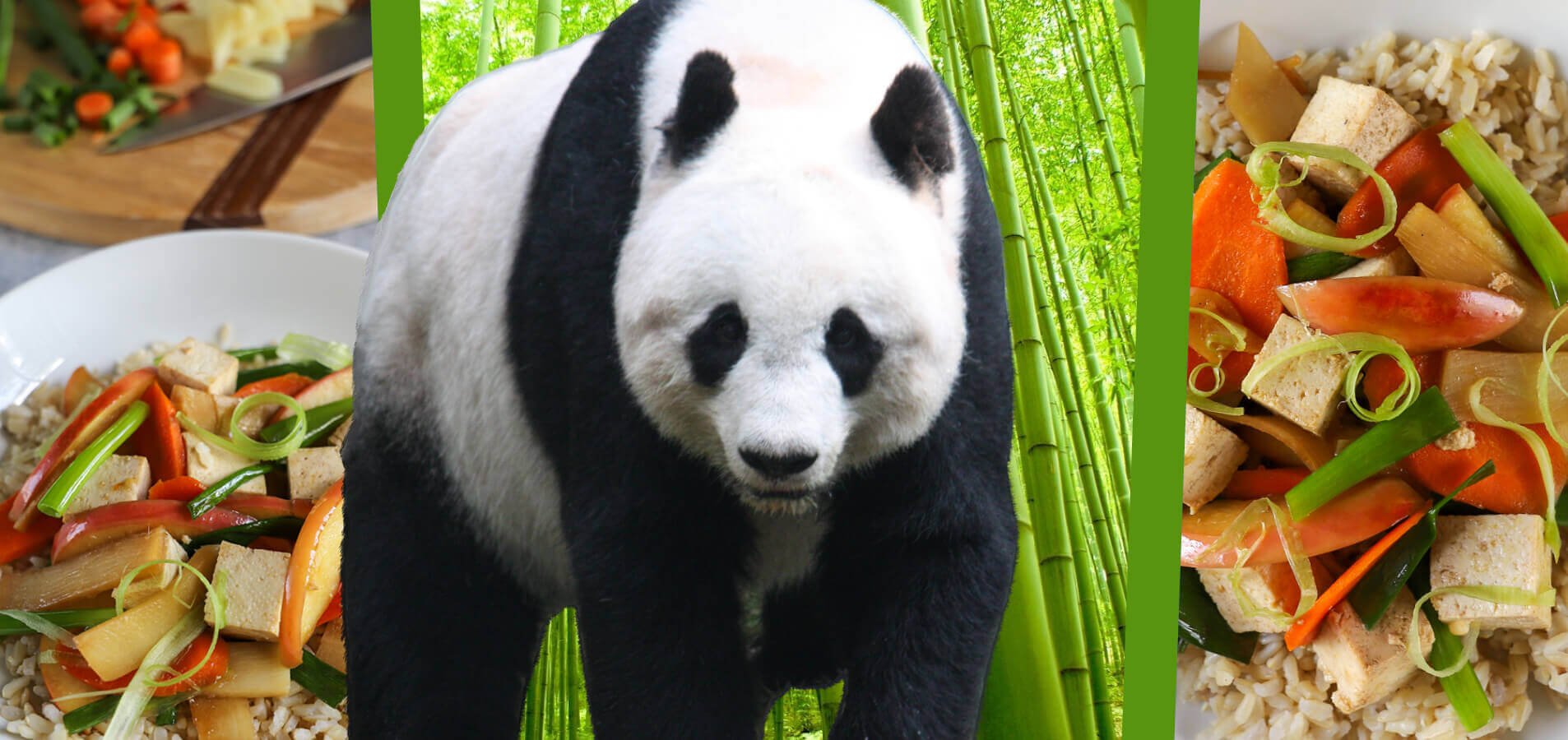 Throw Pillow giant panda while eating bamboo 