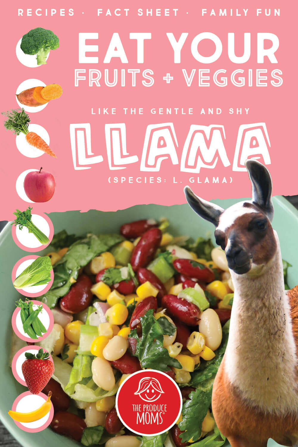 Eat Like a Llama: Mixed Bean Chopped Salad Pinterest Card